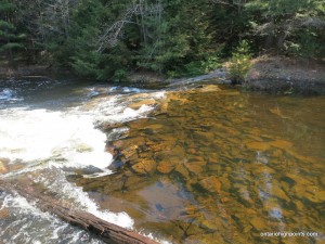 Creek: High Water Level