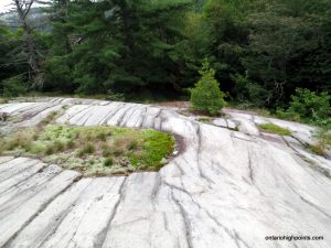 Smooth quartzite bedrock common along this section of the hike