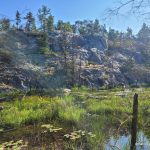 A marsh along the trail