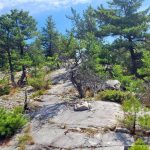 The trail back up on the ridge