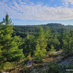 View along the way to White Mountain