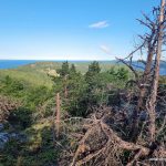 View from White Mountain - West Peak