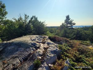 Viewpoint on White Mountain - East Peak (Main Peak)