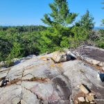 Highest point on White Mountain - East Peak (Main Peak)