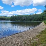 Beach at Wright's Lake (viewing east)