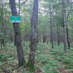 Heaven's Gate trail and signage