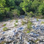 Steep descent down a quartzite hillside