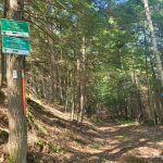 Intersection of Heaven's Gate and Marsh Snowmobile trail