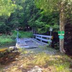 Red Deer Trail and Frood Creek bridge #2