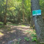 Red Deer trail and signage