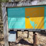 Centennial Ridges Trailhead Sign