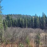 First view of the Centennial Ridges