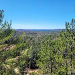 View west from Centennial Ridges