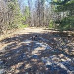 Summit of MacDougall Mountain